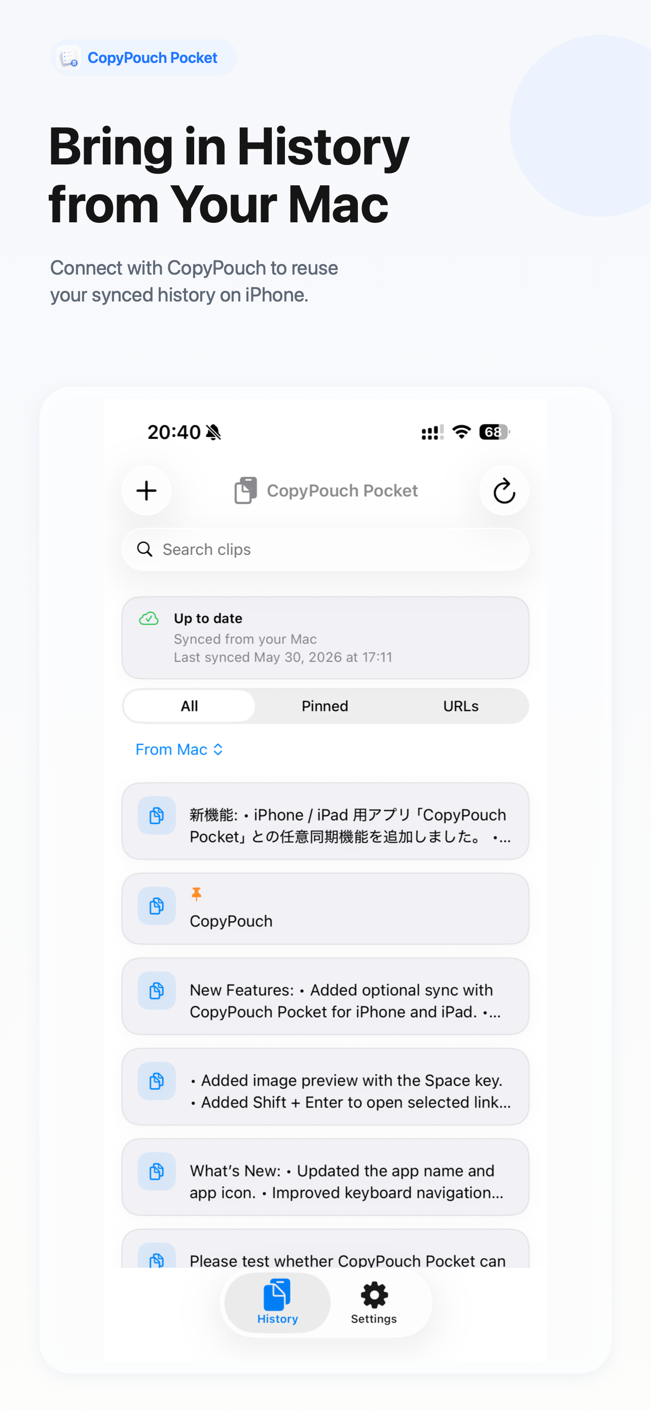 CopyPouch Pocket pinned items screenshot
